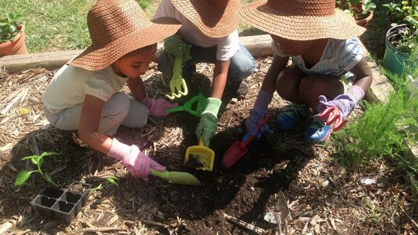Children in sunhats digging in their summer garden